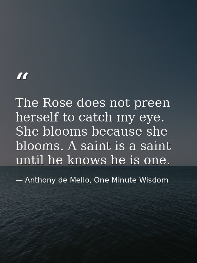 The Rose does not preen herself to catch my eye. She blooms because she blooms. A saint is a saint until he knows he is  — Anthony de Mello, One Minute Wisdom