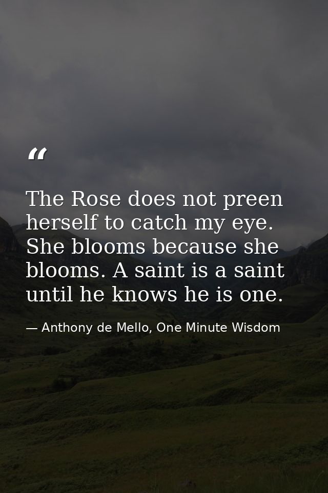 The Rose does not preen herself to catch my eye. She blooms because she blooms. A saint is a saint until he knows he is  — Anthony de Mello, One Minute Wisdom