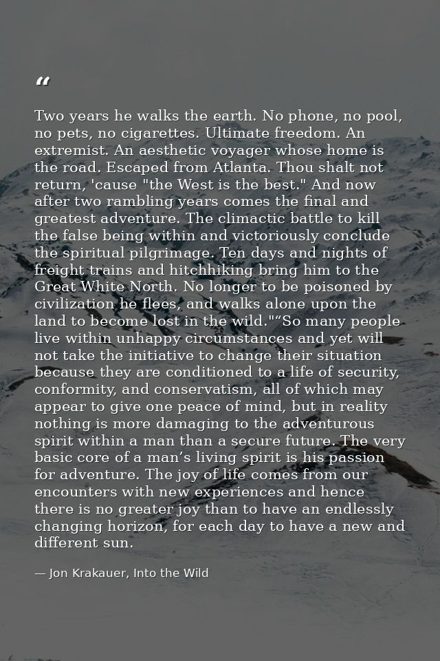 Two years he walks the earth. No phone, no pool, no pets, no cigarettes. Ultimate freedom. An extremist. An aesthetic vo — Jon Krakauer, Into the Wild