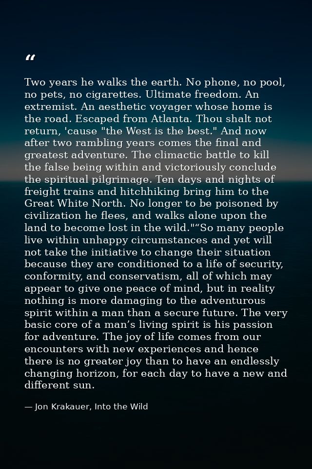 Two years he walks the earth. No phone, no pool, no pets, no cigarettes. Ultimate freedom. An extremist. An aesthetic vo — Jon Krakauer, Into the Wild