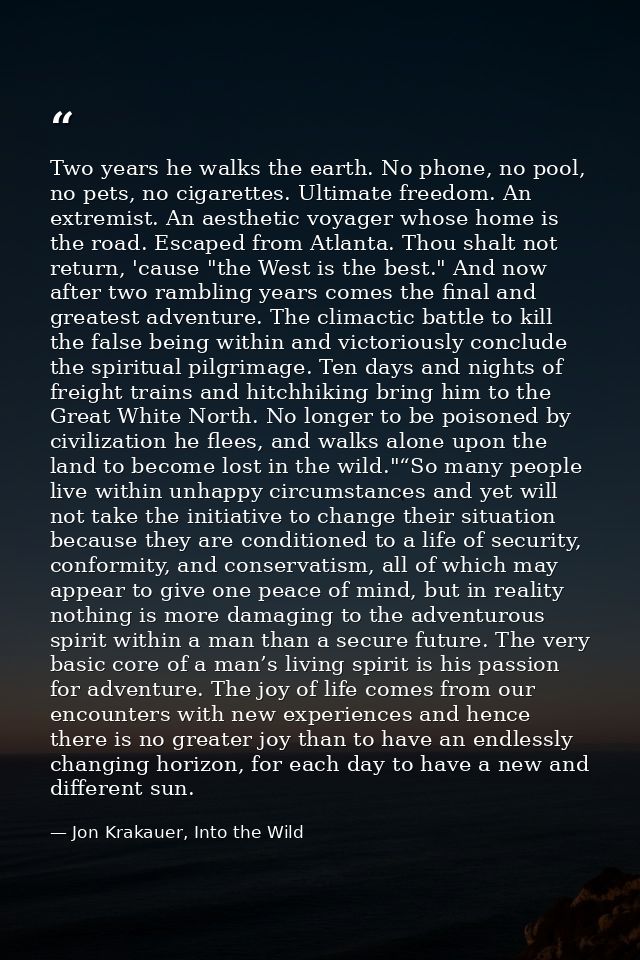 Two years he walks the earth. No phone, no pool, no pets, no cigarettes. Ultimate freedom. An extremist. An aesthetic vo — Jon Krakauer, Into the Wild
