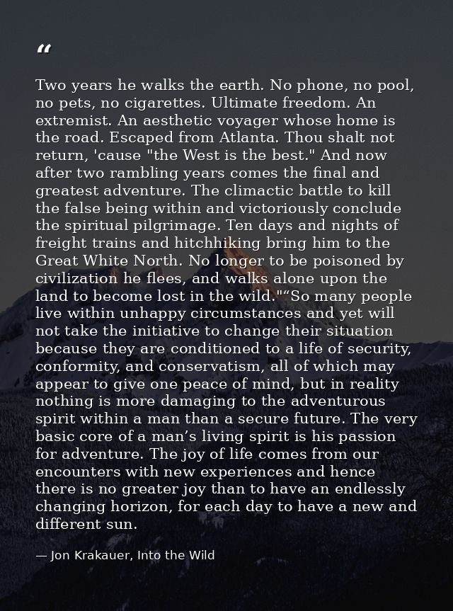Two years he walks the earth. No phone, no pool, no pets, no cigarettes. Ultimate freedom. An extremist. An aesthetic vo — Jon Krakauer, Into the Wild