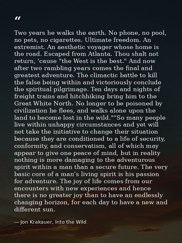 Two years he walks the earth. No phone, no pool, no pets, no cigarettes. Ultimate freedom. An extremist. An aesthetic vo — Jon Krakauer, Into the Wild