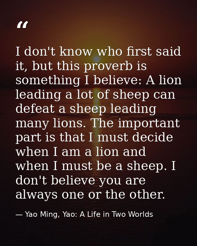 I don't know who first said it, but this proverb is something I believe: A lion leading a lot of sheep can defeat a shee — Yao Ming, Yao: A Life in Two Worlds