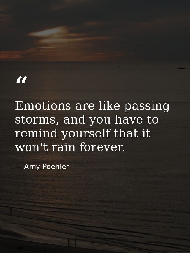 Emotions are like passing storms, and you have to remind yourself that it won't rain forever. — Amy Poehler