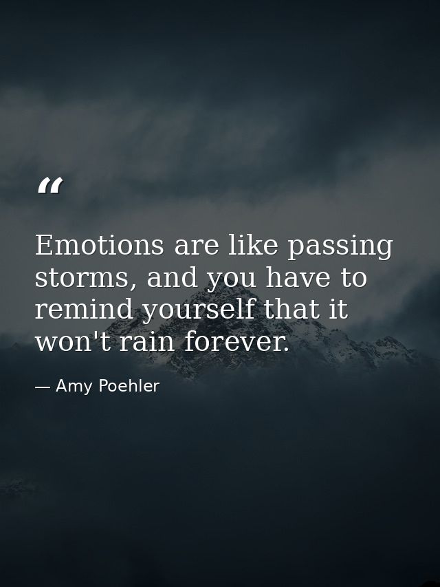 Emotions are like passing storms, and you have to remind yourself that it won't rain forever. — Amy Poehler
