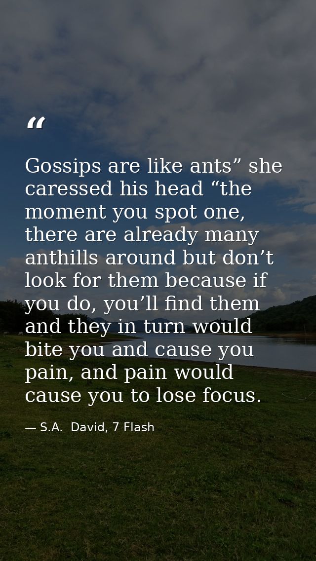 Gossips are like ants” she caressed his head “the moment you spot one, there are already many anthills around but don’t  — S.A.  David, 7 Flash