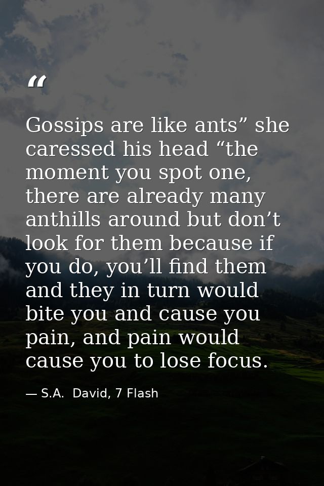 Gossips are like ants” she caressed his head “the moment you spot one, there are already many anthills around but don’t  — S.A.  David, 7 Flash