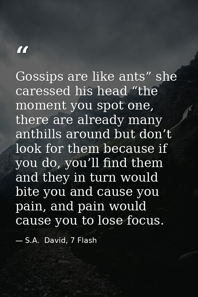 Gossips are like ants” she caressed his head “the moment you spot one, there are already many anthills around but don’t  — S.A.  David, 7 Flash
