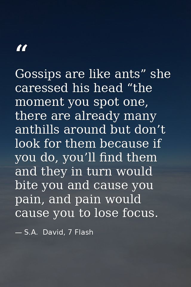 Gossips are like ants” she caressed his head “the moment you spot one, there are already many anthills around but don’t  — S.A.  David, 7 Flash