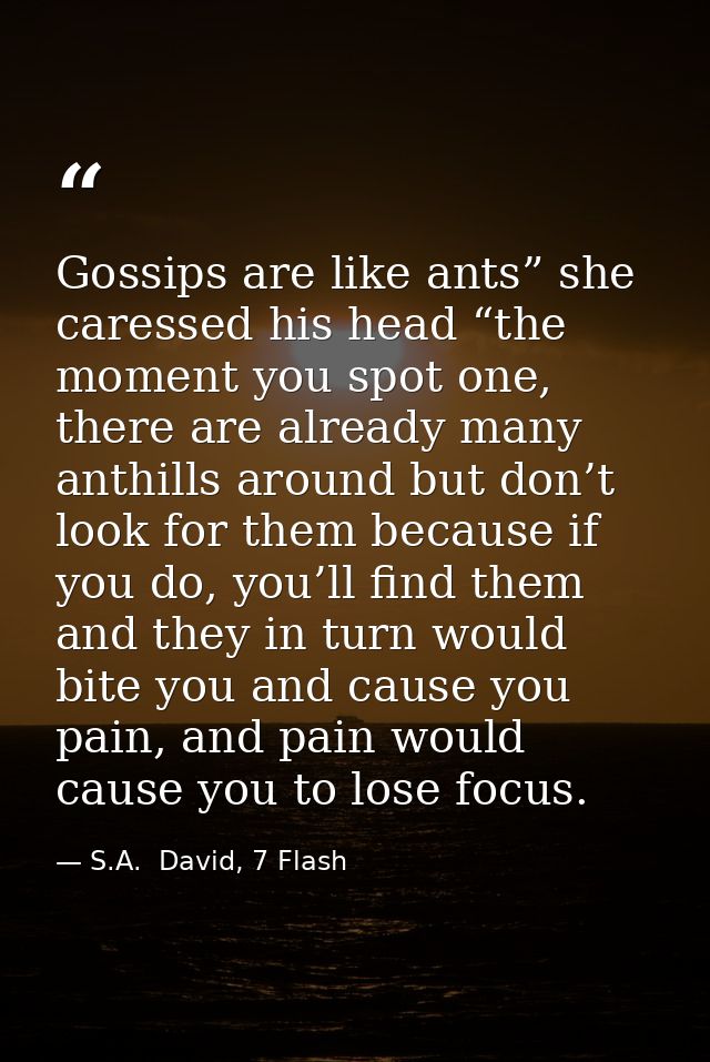Gossips are like ants” she caressed his head “the moment you spot one, there are already many anthills around but don’t  — S.A.  David, 7 Flash