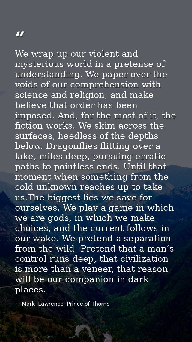 We wrap up our violent and mysterious world in a pretense of understanding. We paper over the voids of our comprehension — Mark  Lawrence, Prince of Thorns
