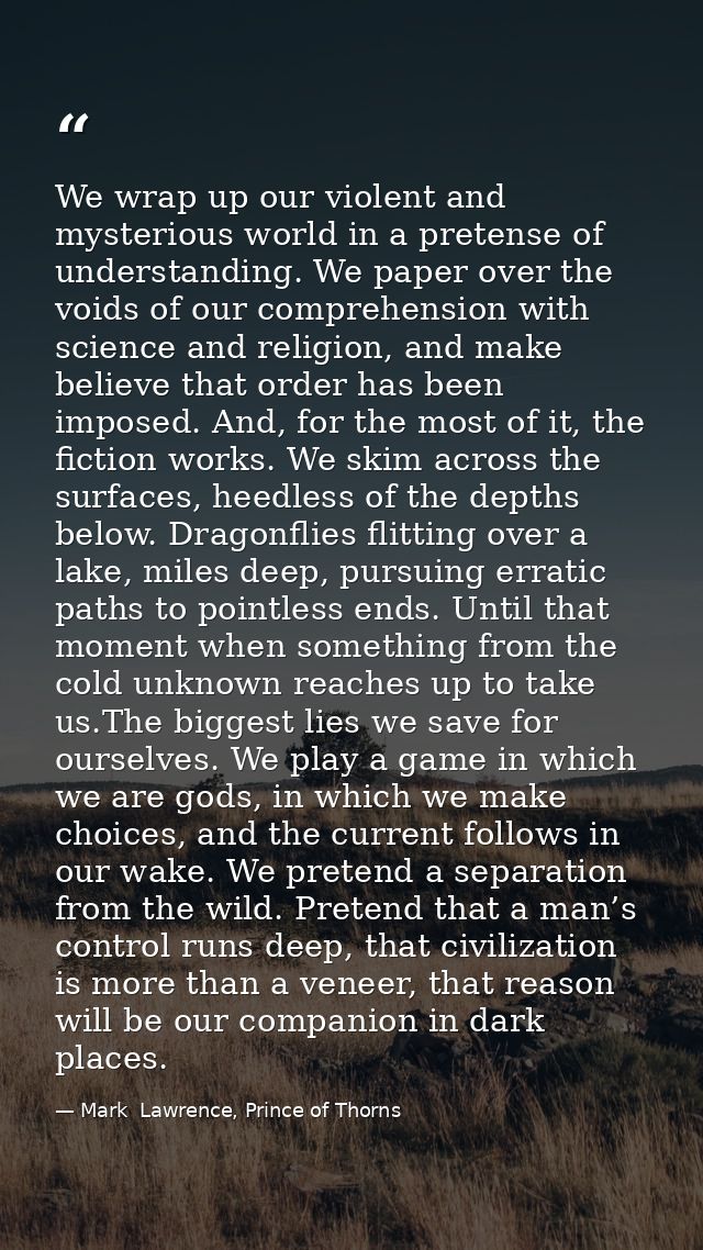 We wrap up our violent and mysterious world in a pretense of understanding. We paper over the voids of our comprehension — Mark  Lawrence, Prince of Thorns