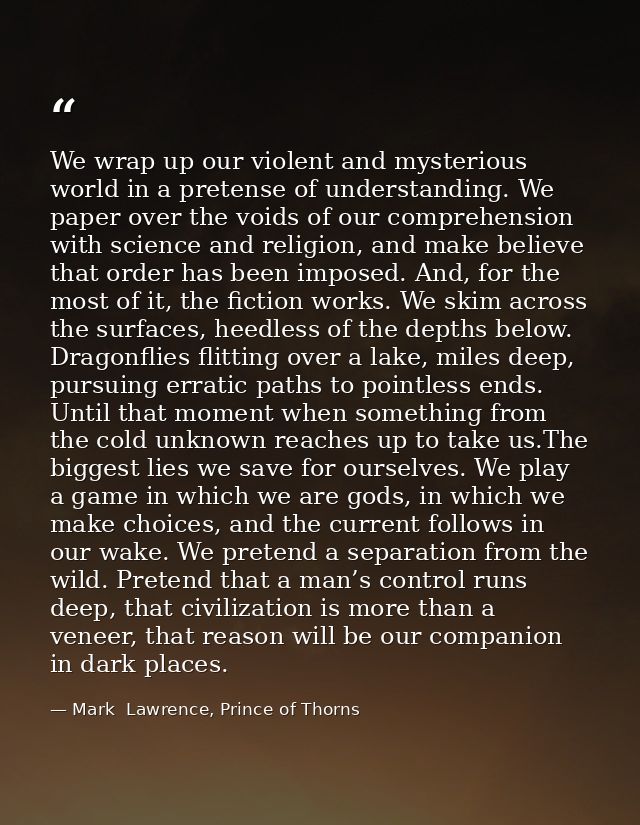 We wrap up our violent and mysterious world in a pretense of understanding. We paper over the voids of our comprehension — Mark  Lawrence, Prince of Thorns
