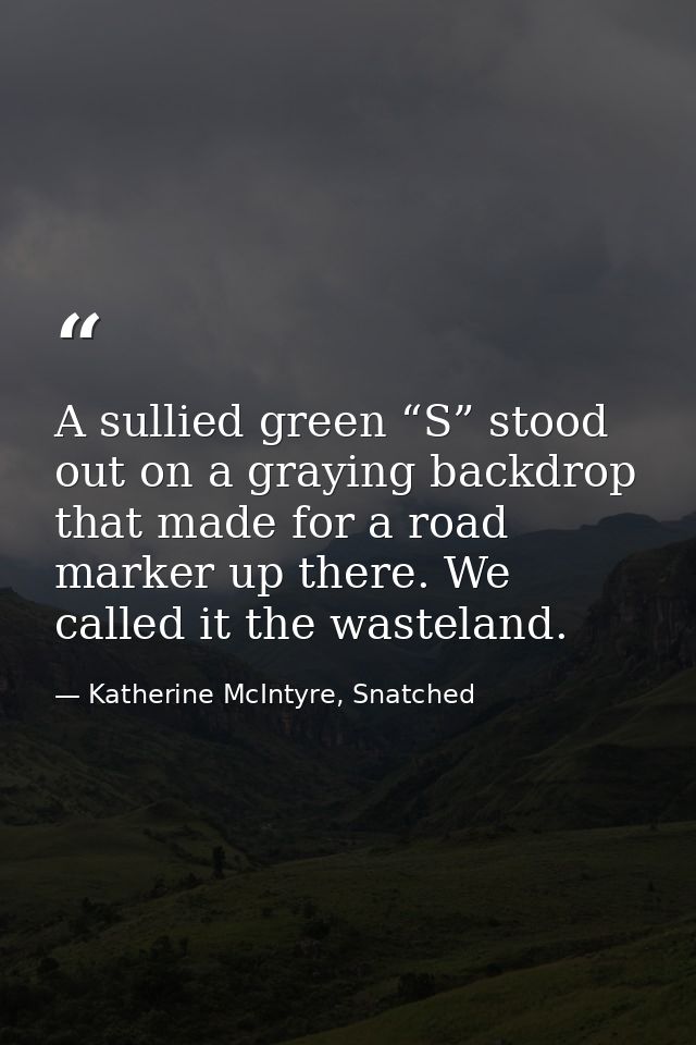 A sullied green “S” stood out on a graying backdrop that made for a road marker up there. We called it the wasteland. — Katherine McIntyre, Snatched
