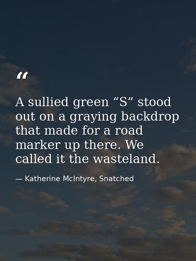 A sullied green “S” stood out on a graying backdrop that made for a road marker up there. We called it the wasteland. — Katherine McIntyre, Snatched