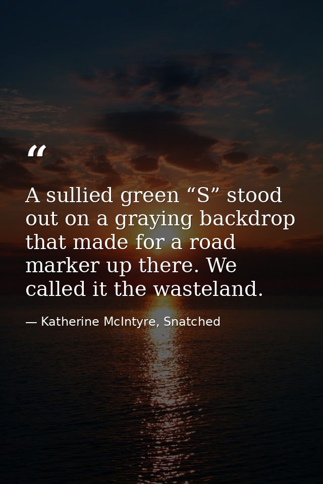 A sullied green “S” stood out on a graying backdrop that made for a road marker up there. We called it the wasteland. — Katherine McIntyre, Snatched