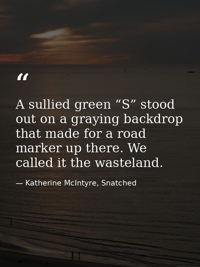 A sullied green “S” stood out on a graying backdrop that made for a road marker up there. We called it the wasteland. — Katherine McIntyre, Snatched