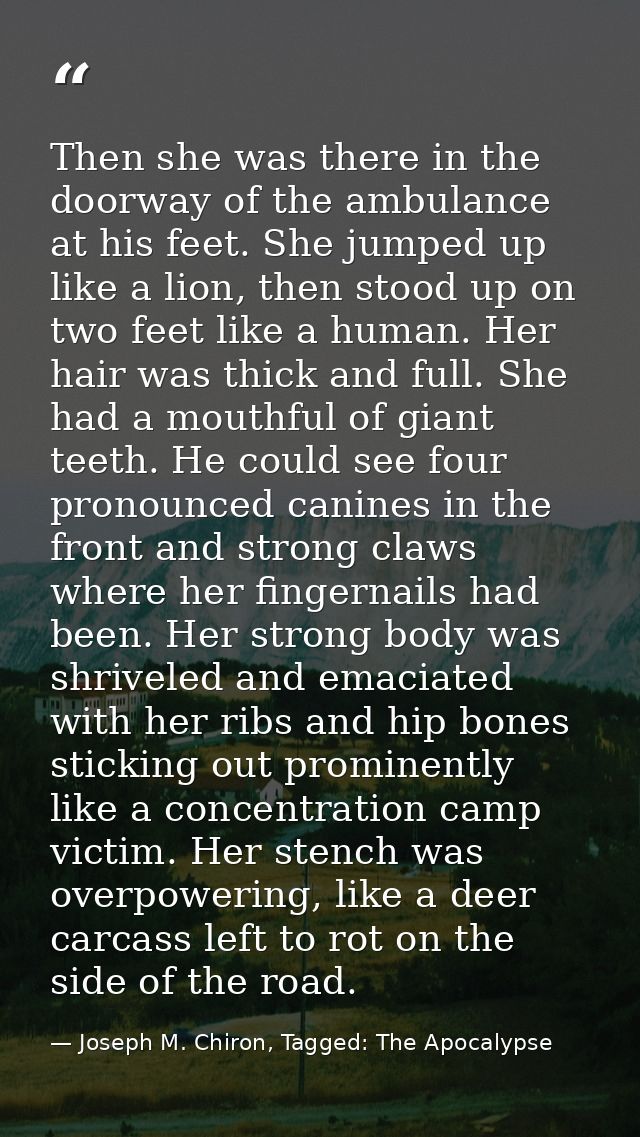 Then she was there in the doorway of the ambulance at his feet. She jumped up like a lion, then stood up on two feet lik — Joseph M. Chiron, Tagged: The Apocalypse