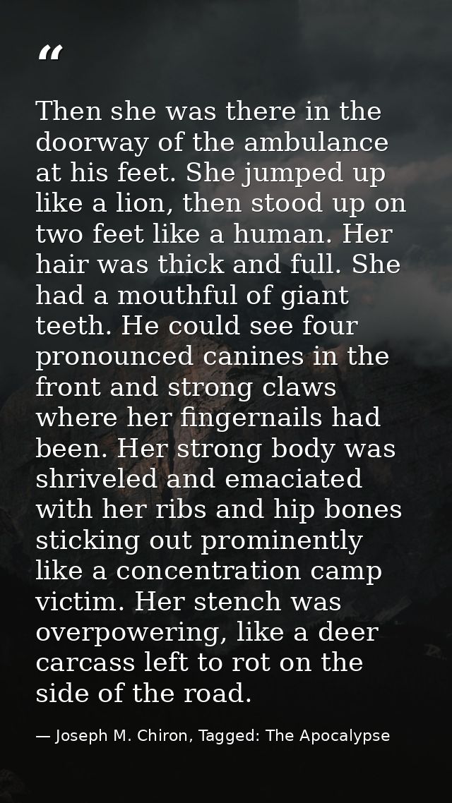 Then she was there in the doorway of the ambulance at his feet. She jumped up like a lion, then stood up on two feet lik — Joseph M. Chiron, Tagged: The Apocalypse