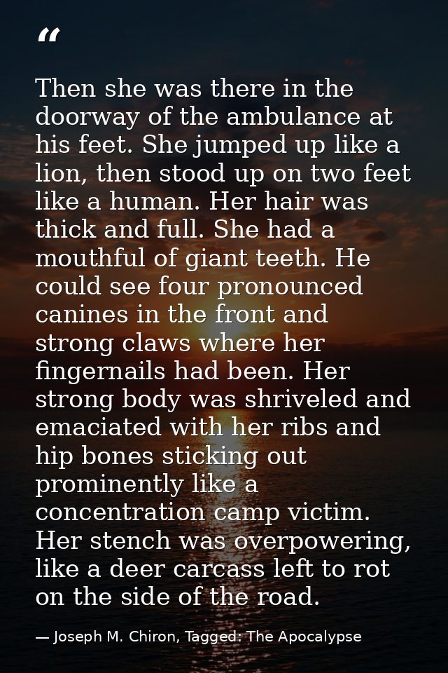 Then she was there in the doorway of the ambulance at his feet. She jumped up like a lion, then stood up on two feet lik — Joseph M. Chiron, Tagged: The Apocalypse