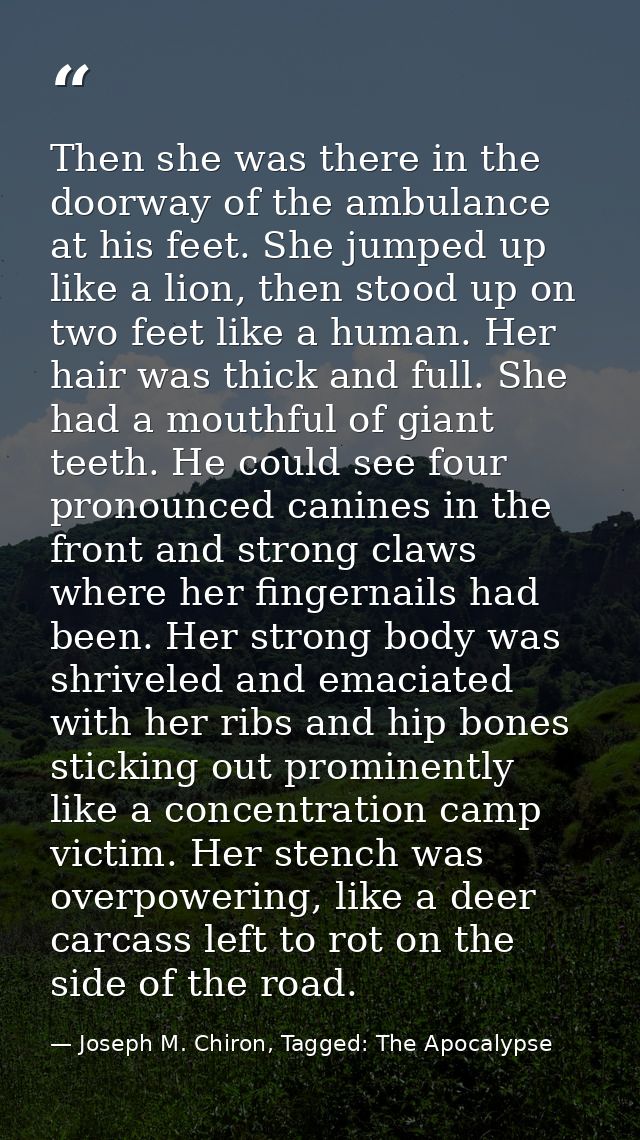 Then she was there in the doorway of the ambulance at his feet. She jumped up like a lion, then stood up on two feet lik — Joseph M. Chiron, Tagged: The Apocalypse