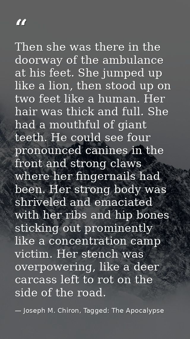 Then she was there in the doorway of the ambulance at his feet. She jumped up like a lion, then stood up on two feet lik — Joseph M. Chiron, Tagged: The Apocalypse