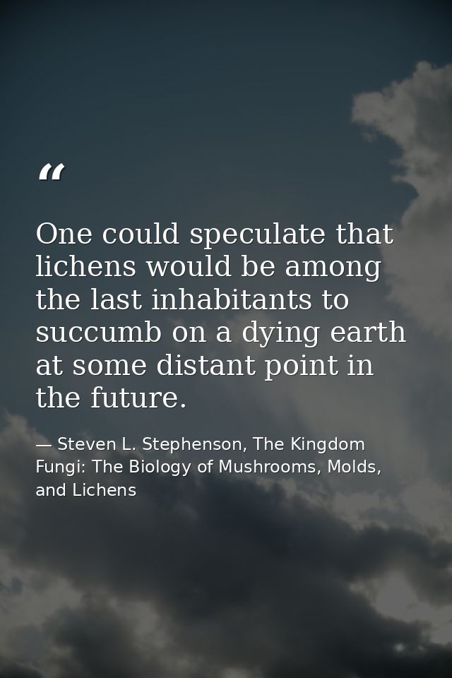 One could speculate that lichens would be among the last inhabitants to succumb on a dying earth at some distant point i — Steven L. Stephenson, The Kingdom Fungi: The Biology of Mushrooms, Molds, and Lichens
