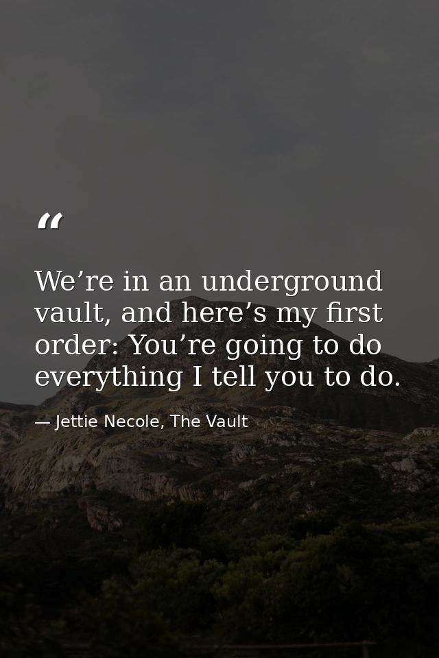 We’re in an underground vault, and here’s my first order: You’re going to do everything I tell you to do. — Jettie Necole, The Vault