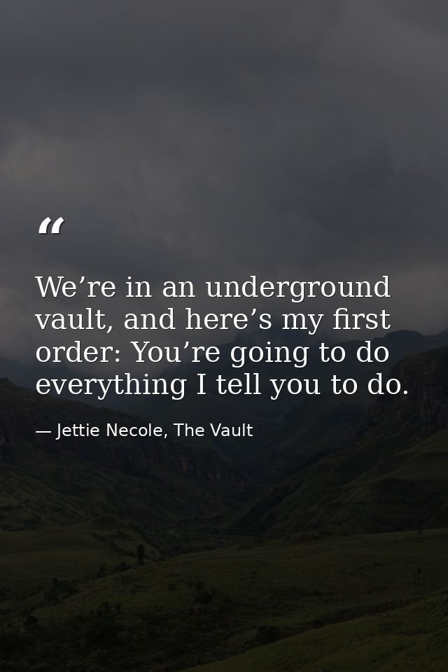 We’re in an underground vault, and here’s my first order: You’re going to do everything I tell you to do. — Jettie Necole, The Vault