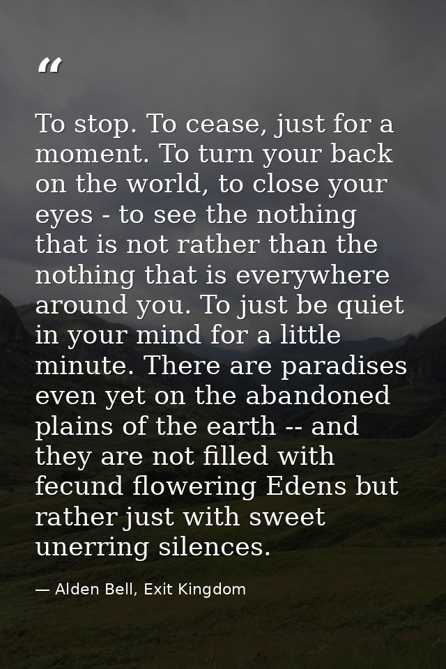 To stop. To cease, just for a moment. To turn your back on the world, to close your eyes - to see the nothing that is no — Alden Bell, Exit Kingdom
