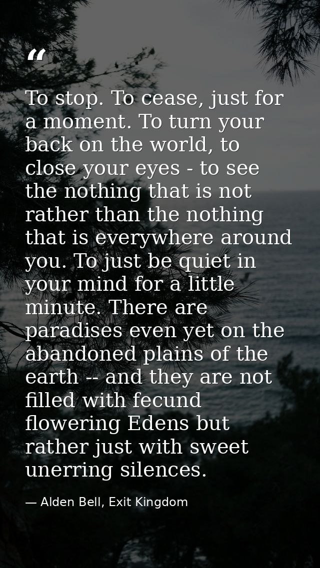 To stop. To cease, just for a moment. To turn your back on the world, to close your eyes - to see the nothing that is no — Alden Bell, Exit Kingdom