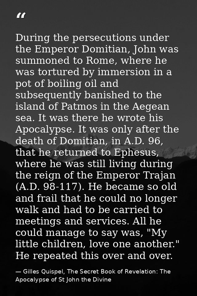 During the persecutions under the Emperor Domitian, John was summoned to Rome, where he was tortured by immersion in a p — Gilles Quispel, The Secret Book of Revelation: The Apocalypse of St John the Divine