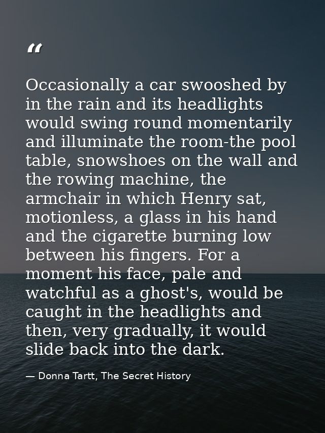 Occasionally a car swooshed by in the rain and its headlights would swing round momentarily and illuminate the room-the  — Donna Tartt, The Secret History