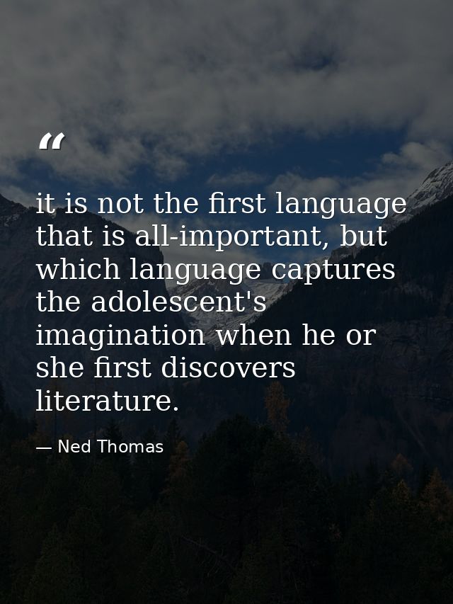 it is not the first language that is all-important, but which language captures the adolescent's imagination when he or  — Ned Thomas
