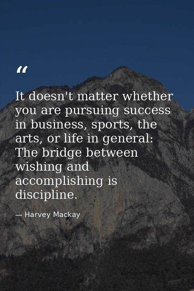 It doesn't matter whether you are pursuing success in business, sports, the arts, or life in general: The bridge between — Harvey Mackay