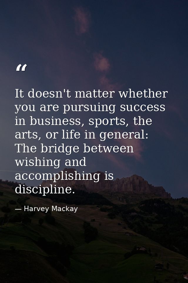 It doesn't matter whether you are pursuing success in business, sports, the arts, or life in general: The bridge between — Harvey Mackay