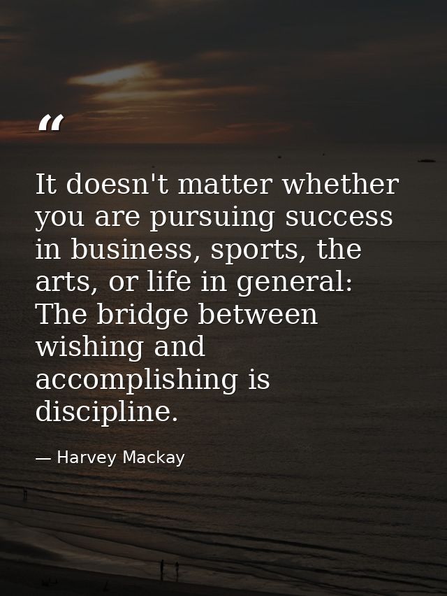 It doesn't matter whether you are pursuing success in business, sports, the arts, or life in general: The bridge between — Harvey Mackay
