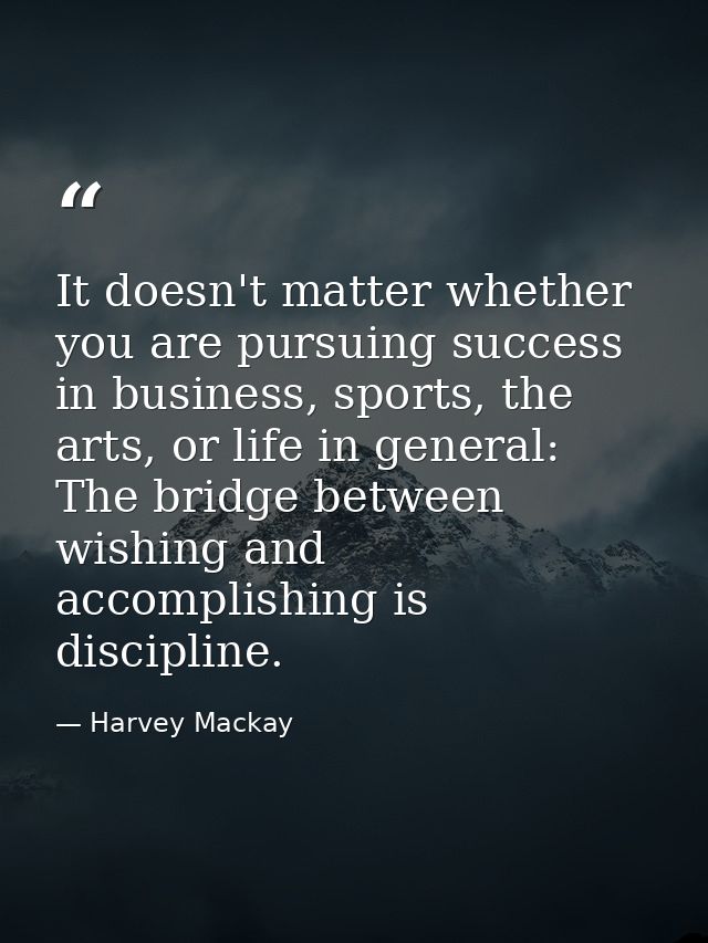 It doesn't matter whether you are pursuing success in business, sports, the arts, or life in general: The bridge between — Harvey Mackay