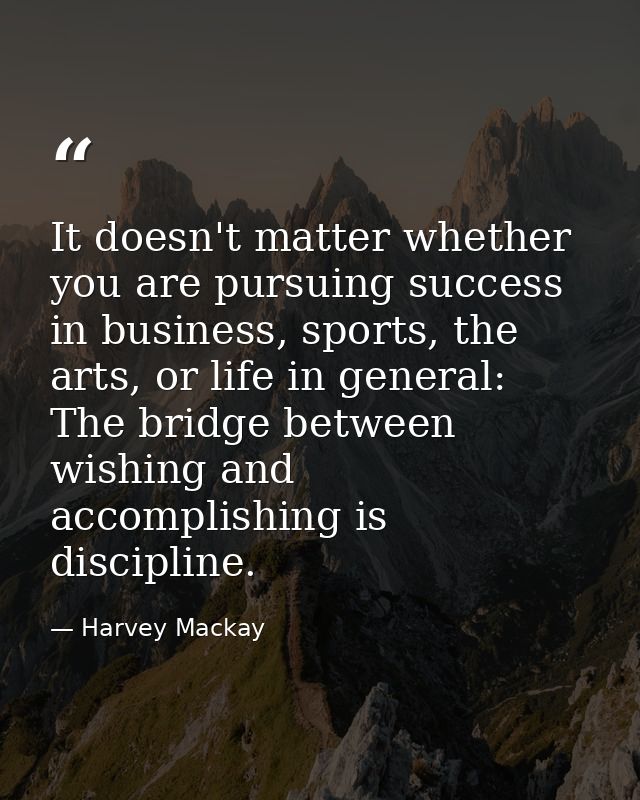 It doesn't matter whether you are pursuing success in business, sports, the arts, or life in general: The bridge between — Harvey Mackay