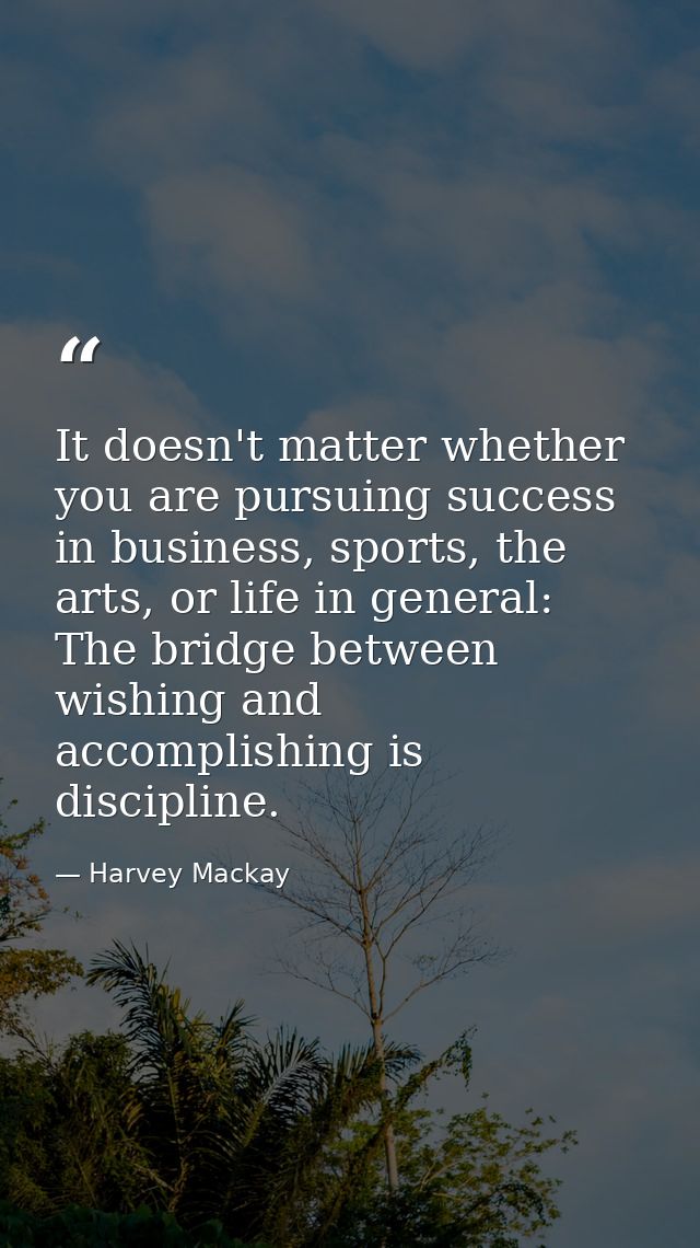 It doesn't matter whether you are pursuing success in business, sports, the arts, or life in general: The bridge between — Harvey Mackay