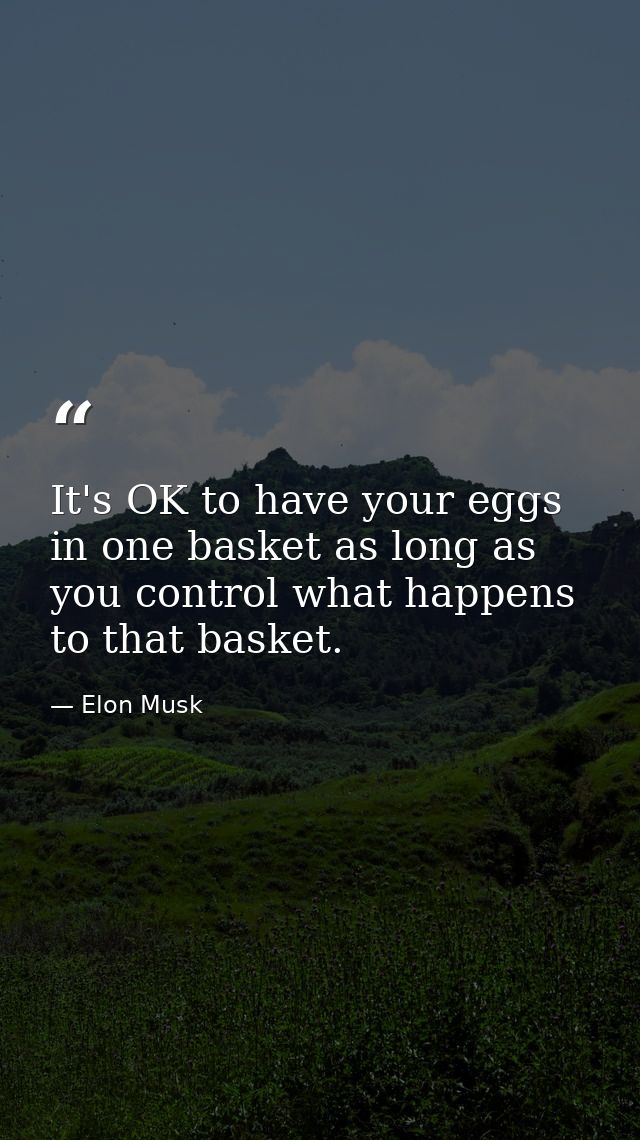 It's OK to have your eggs in one basket as long as you control what happens to that basket. — Elon Musk