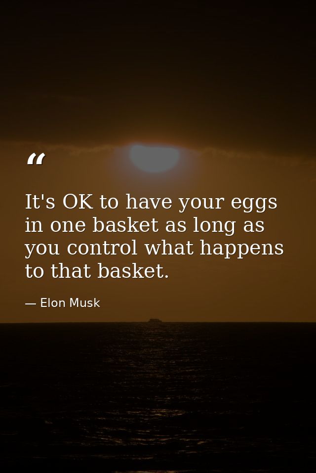 It's OK to have your eggs in one basket as long as you control what happens to that basket. — Elon Musk