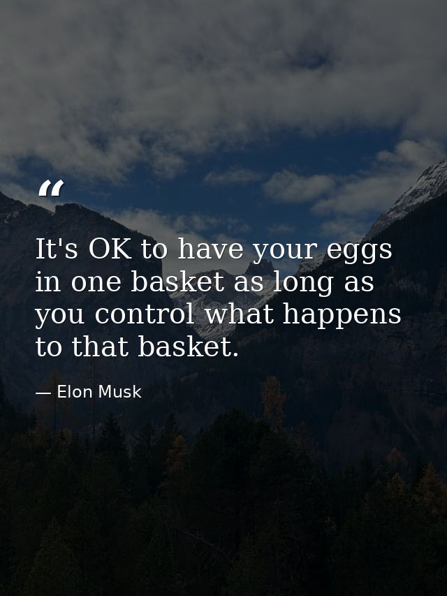 It's OK to have your eggs in one basket as long as you control what happens to that basket. — Elon Musk