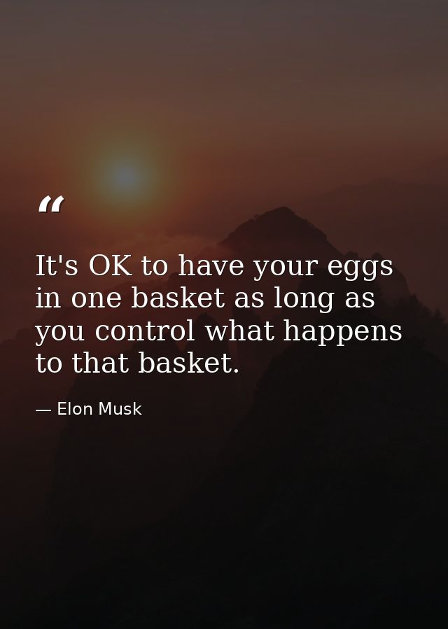 It's OK to have your eggs in one basket as long as you control what happens to that basket. — Elon Musk