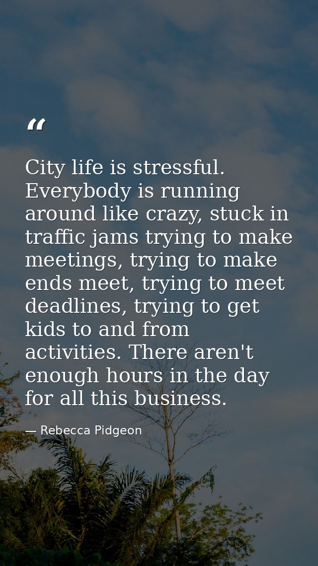 City life is stressful. Everybody is running around like crazy, stuck in traffic jams trying to make meetings, trying to — Rebecca Pidgeon