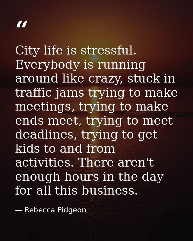 City life is stressful. Everybody is running around like crazy, stuck in traffic jams trying to make meetings, trying to — Rebecca Pidgeon