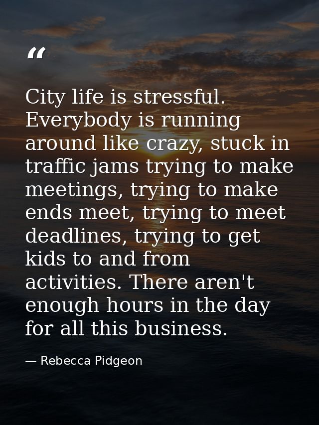 City life is stressful. Everybody is running around like crazy, stuck in traffic jams trying to make meetings, trying to — Rebecca Pidgeon