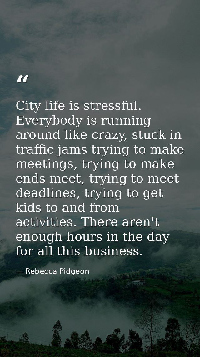 City life is stressful. Everybody is running around like crazy, stuck in traffic jams trying to make meetings, trying to — Rebecca Pidgeon