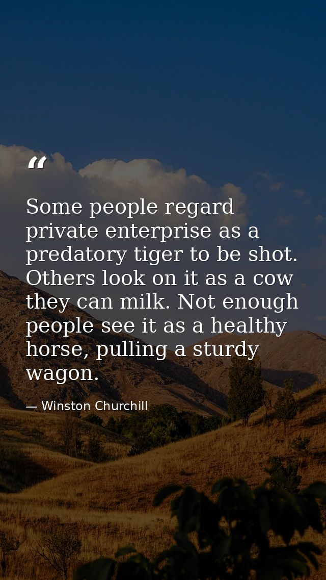 Some people regard private enterprise as a predatory tiger to be shot. Others look on it as a cow they can milk. Not eno — Winston Churchill